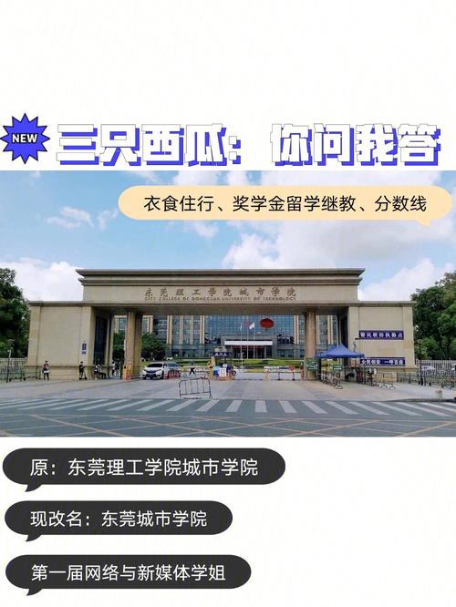 东莞理工和城市学院哪个好