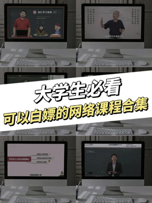 大学课程哪里有网课