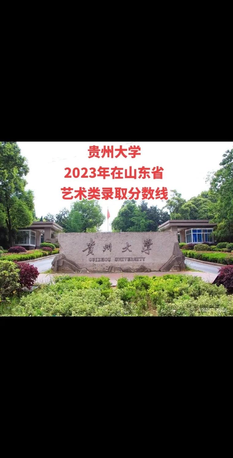 贵州大学招多少艺术生