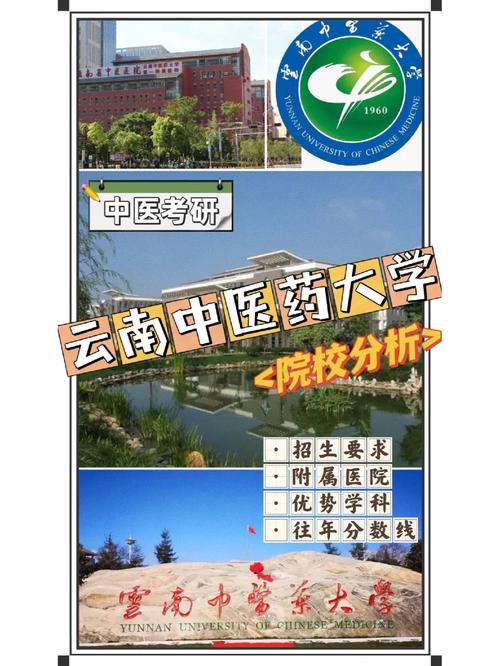 昆明中医药大学属于哪个区