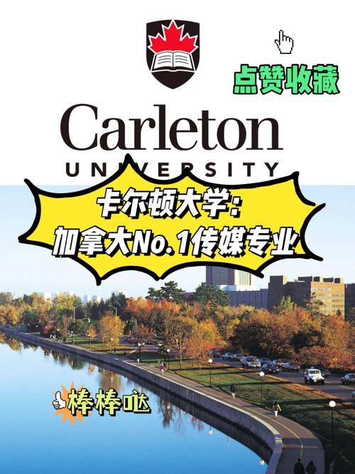 卡尔顿大学哪个专业好学