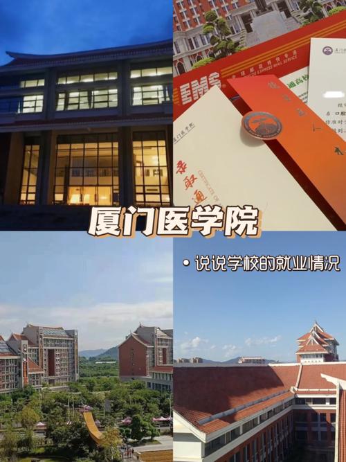 厦门二本有多少学校