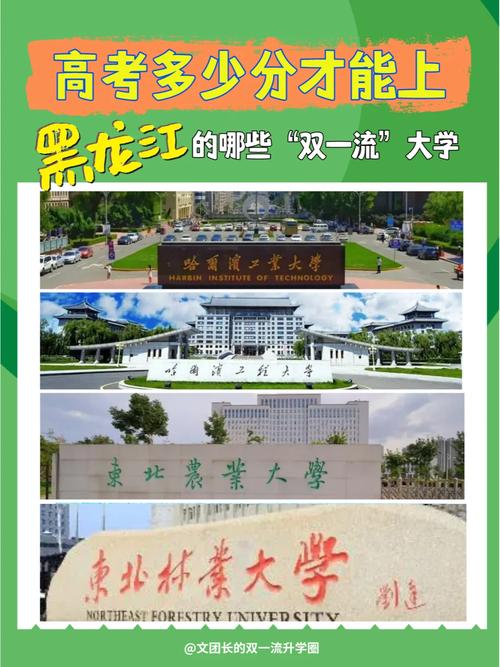 黑龙江244分去哪个大学