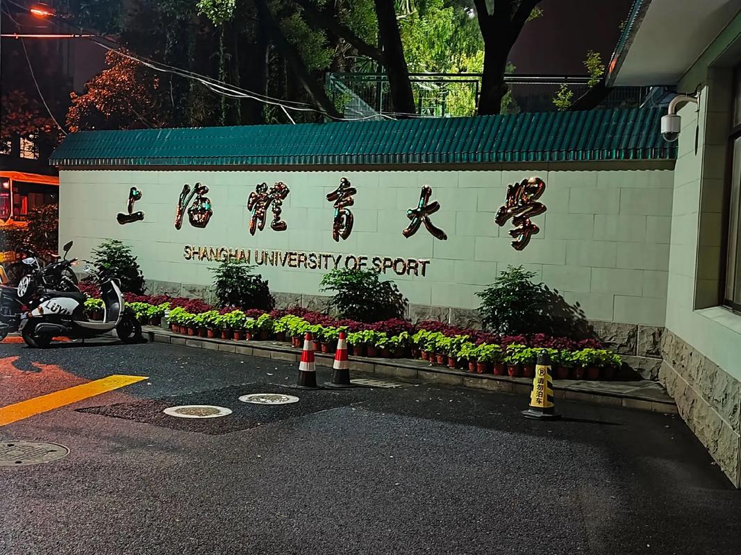 上海体育大学排名多少