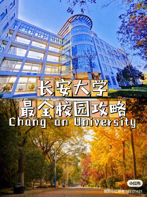 长安大学多少校区