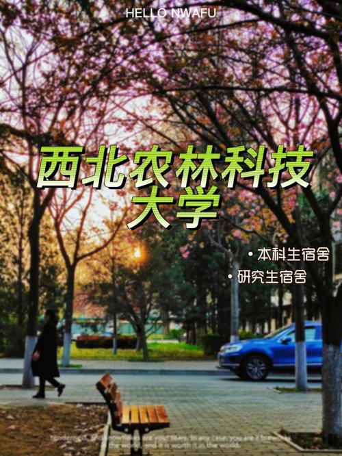 西农共有多少期刊