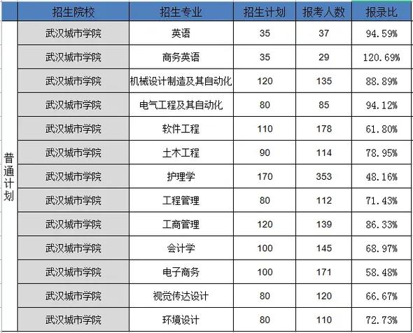 武汉城市学院学费多少