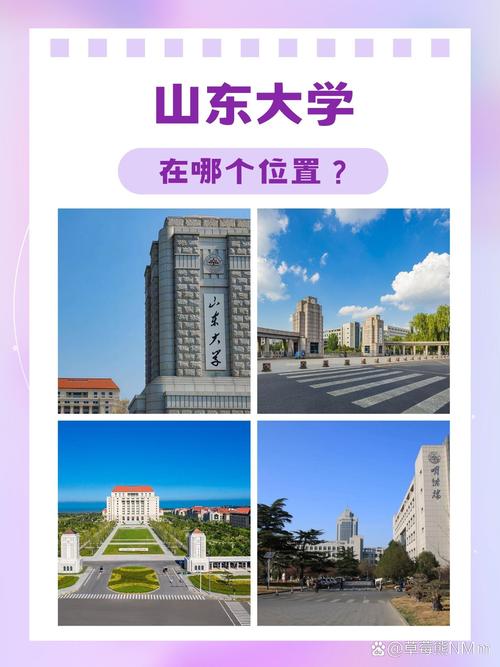 山东大学在哪个位置