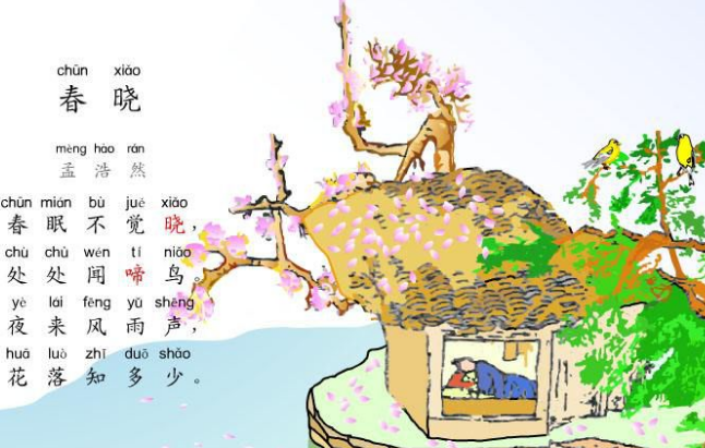 花落知道多少