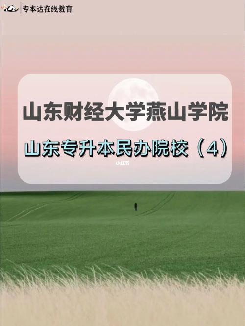 山东财经燕山学院多少学生