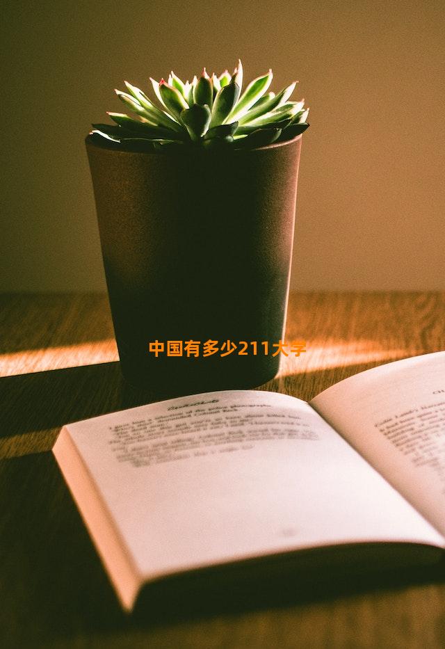 中国有多少211大学