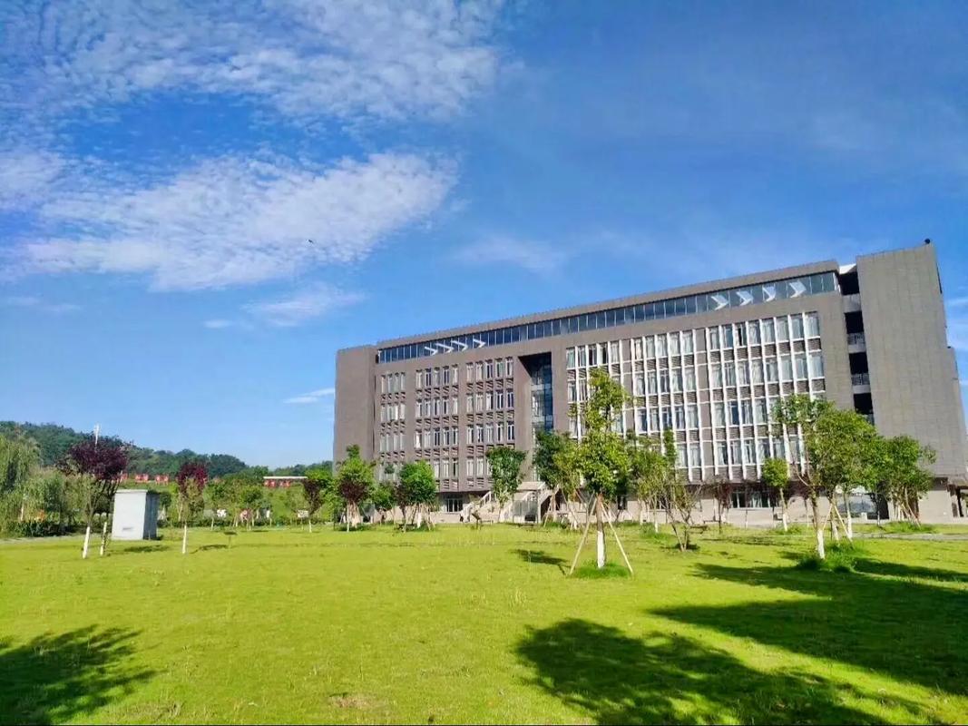 重庆化工专业哪个大学好