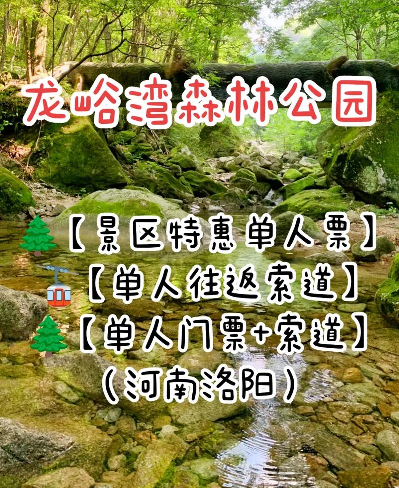 龙屿弯门票多少钱