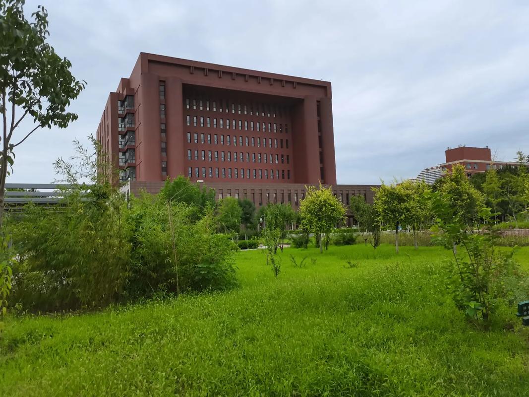 河北省哪个大学图书馆最大