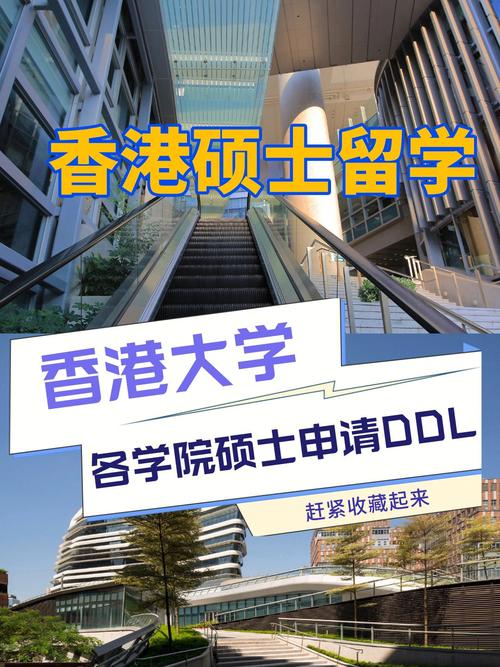 申请香港大学哪个机构最好