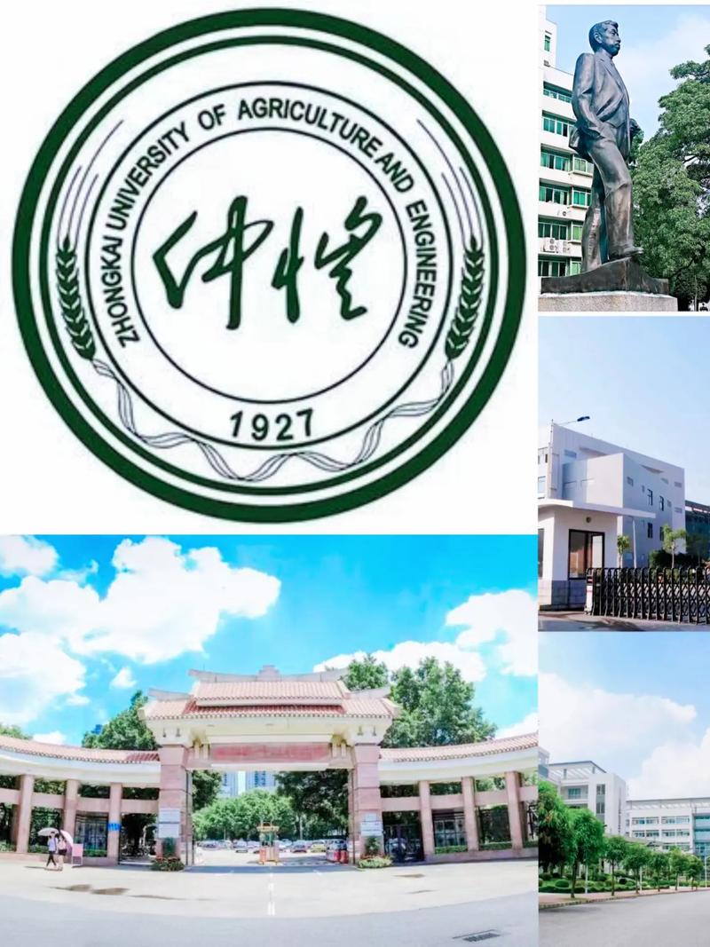 广州仲恺大学多少亩