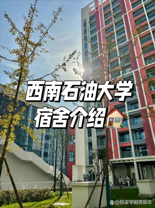 石家庄石油大学在哪个区