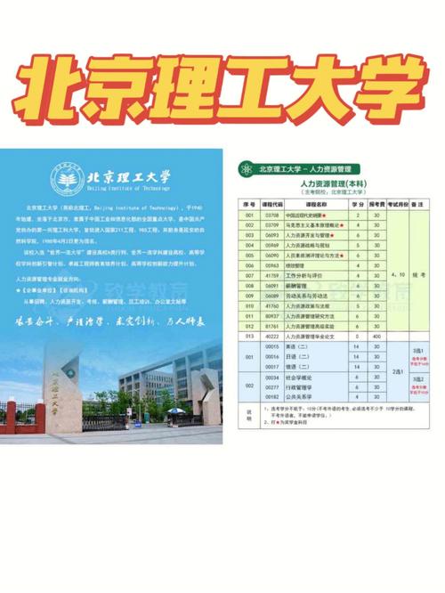 北京哪个大学人力资源管理专业好