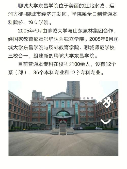 聊城大学共多少学院