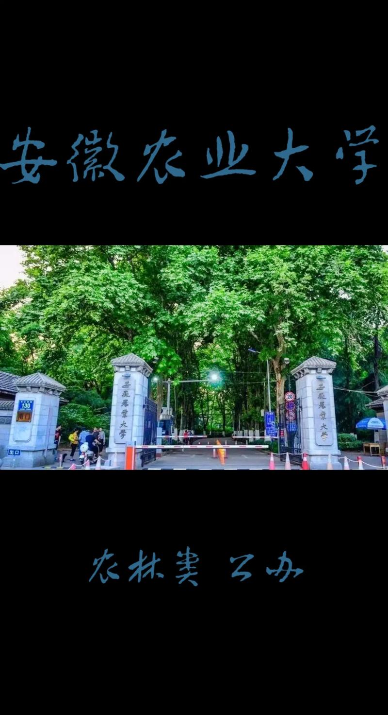 安徽农业大学哪个学院强