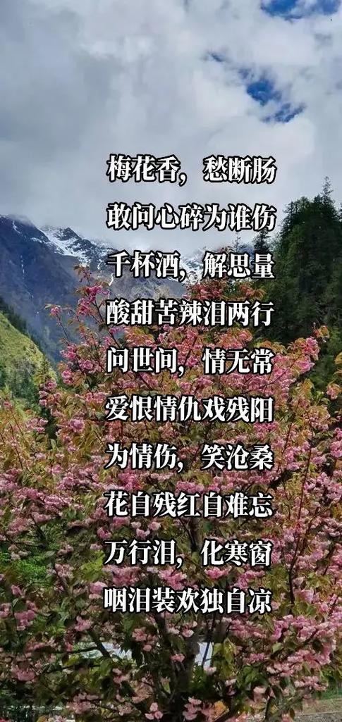 此时愁望情多少