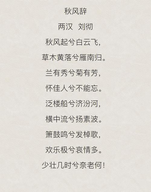 最长的诗词多少个字