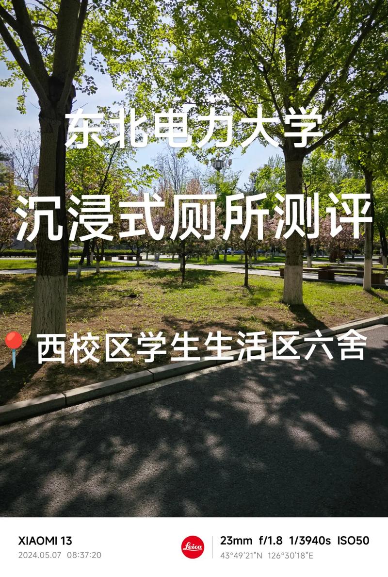 东北理工大学在哪个区