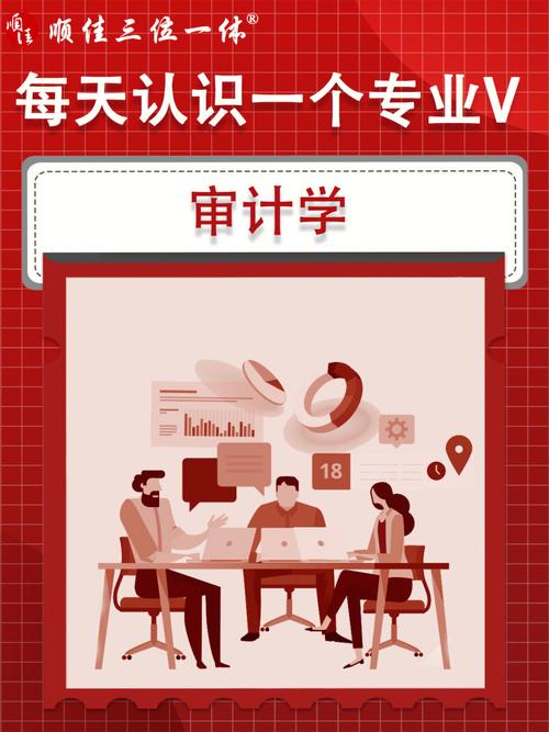 哪个大学毕业后当审计