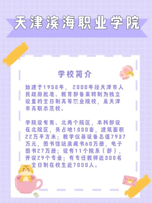 滨海学院排名多少