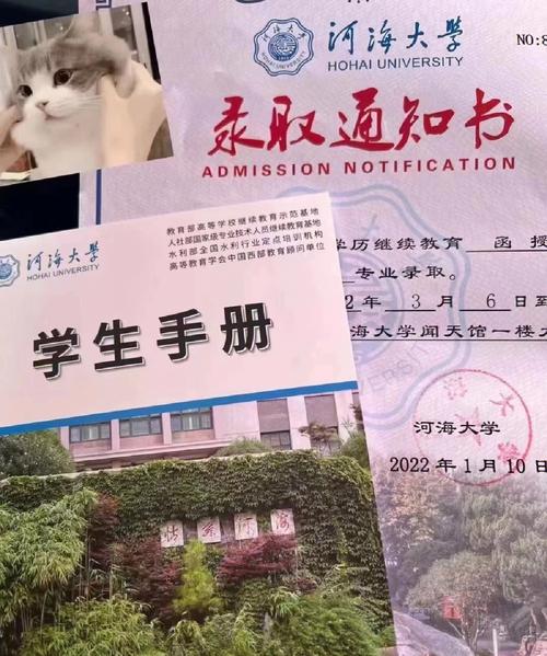 河海大学挂了多少学分