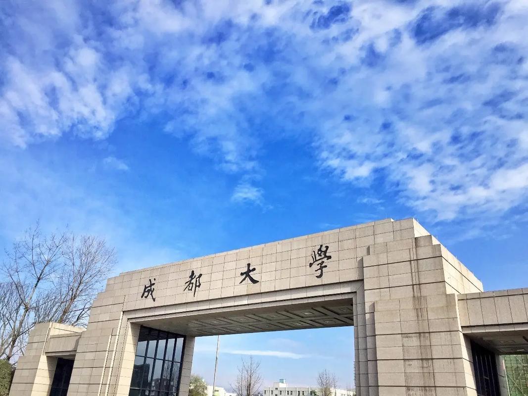 成都大学有多少大学