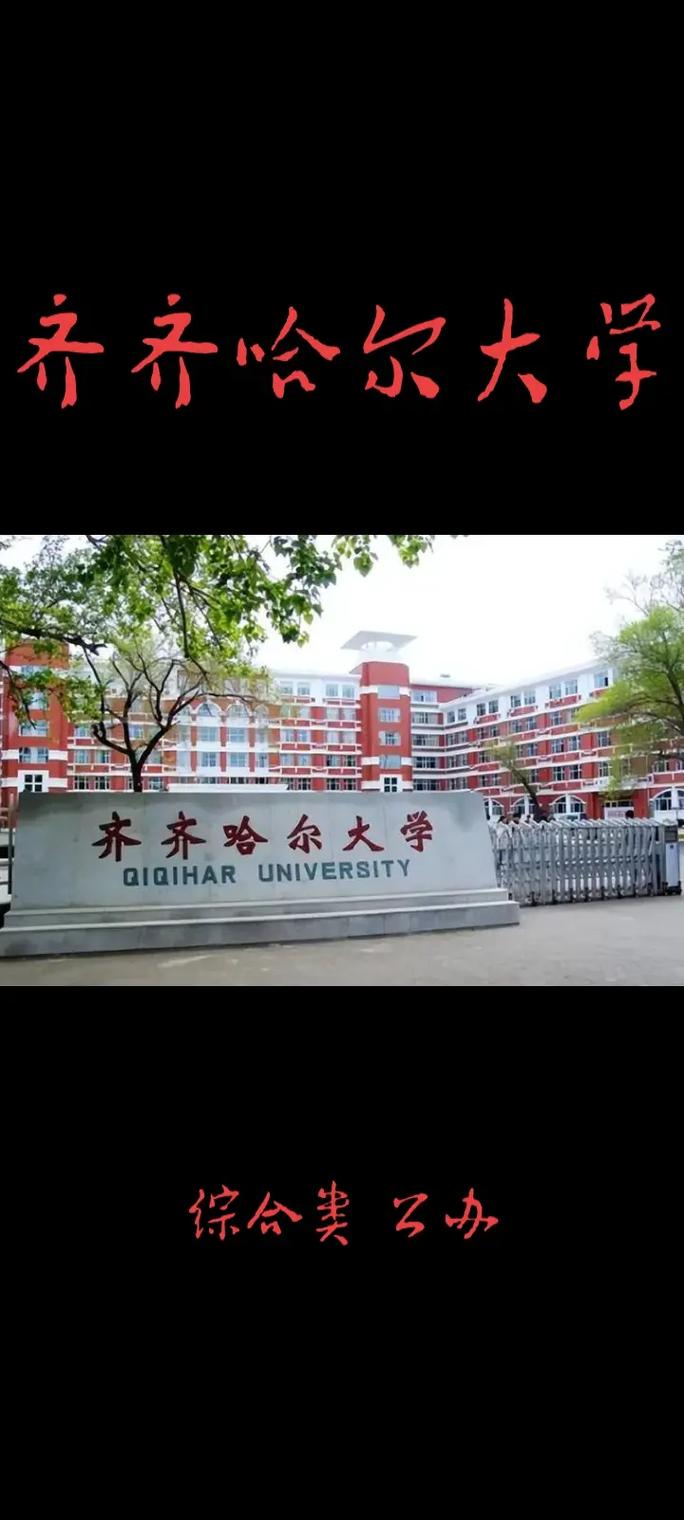 齐齐哈尔有多少所大学