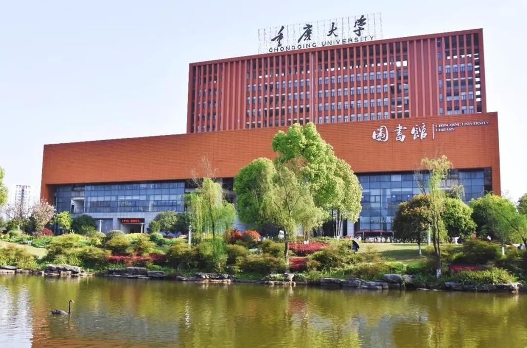 重庆大学图书馆哪个区