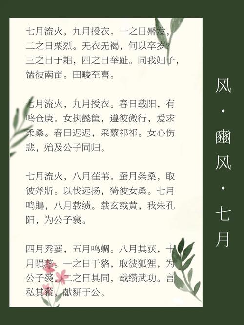 诗经共分多少乐章