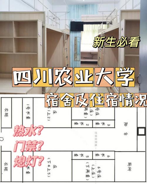 投资学是川农哪个校区