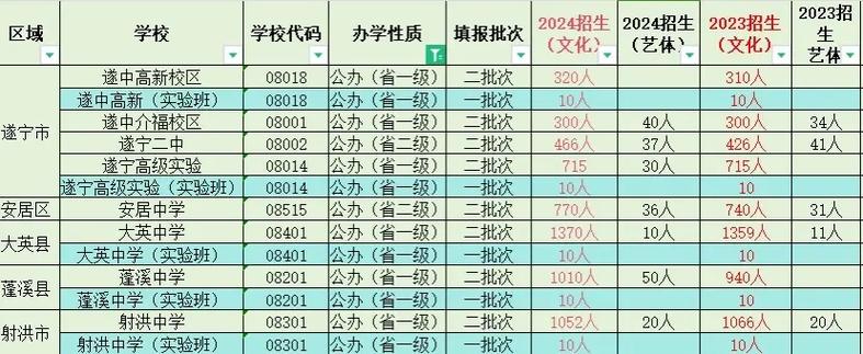 遂宁市区多少公办学校