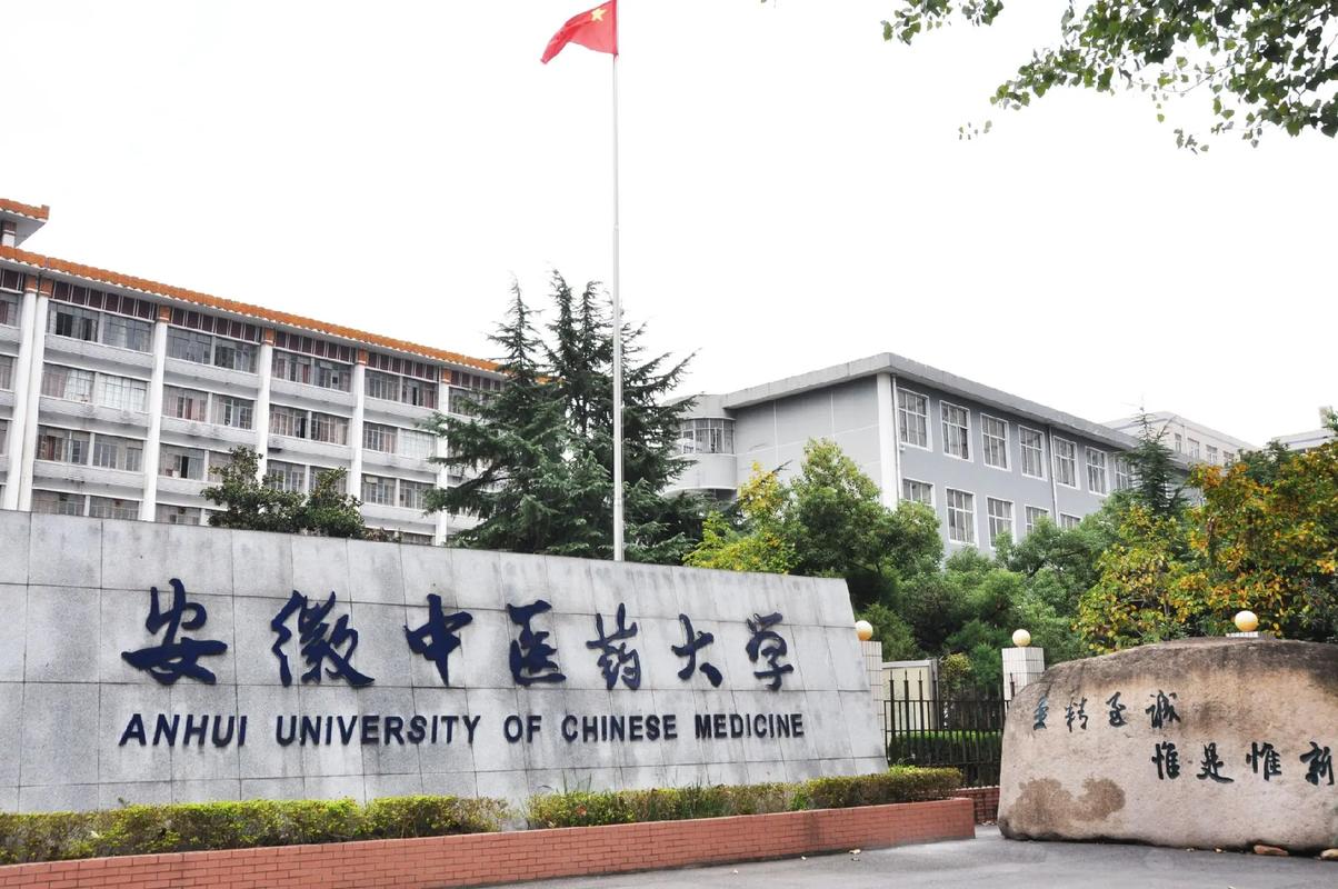 中医药大学安徽省哪个好