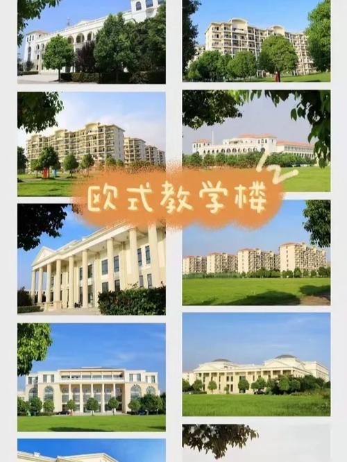 合肥信息技术学院哪个区