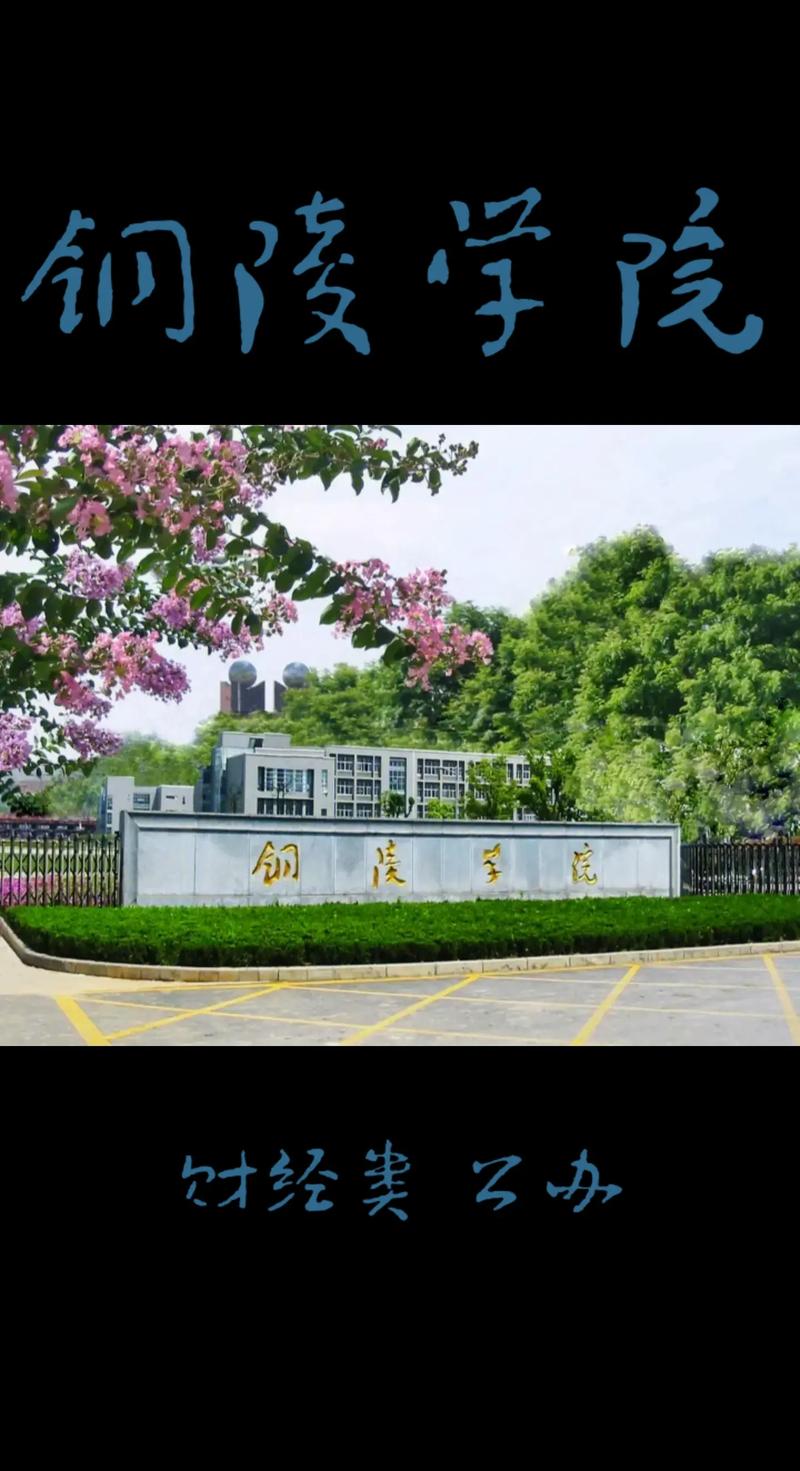 铜陵有那多少大学