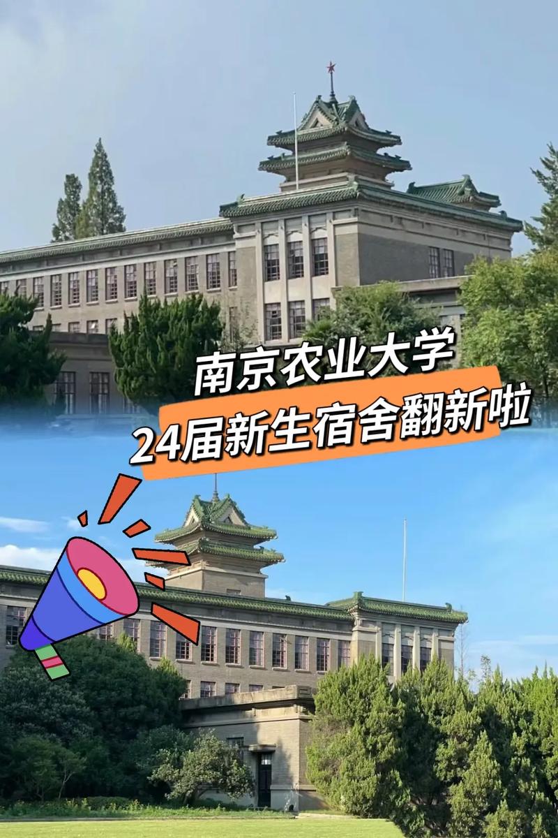 农大一般指哪个大学