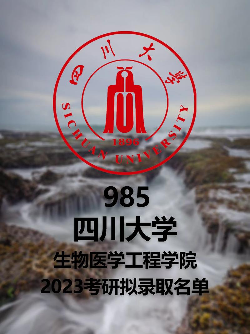 生物医学工程哪个大学好