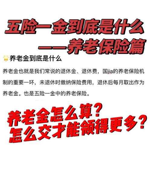 哪个大学研究养老金