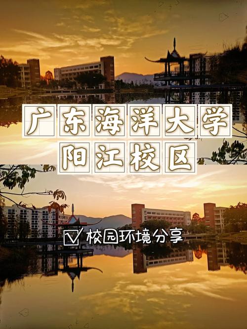 阳江大学有多少人