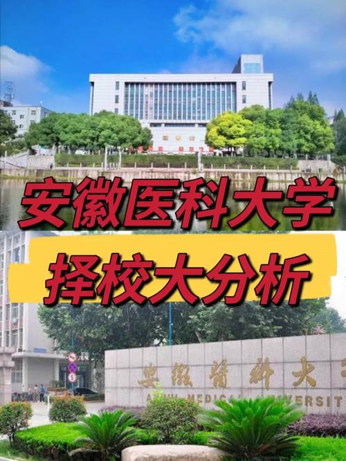 安微医科大学在合肥哪个区