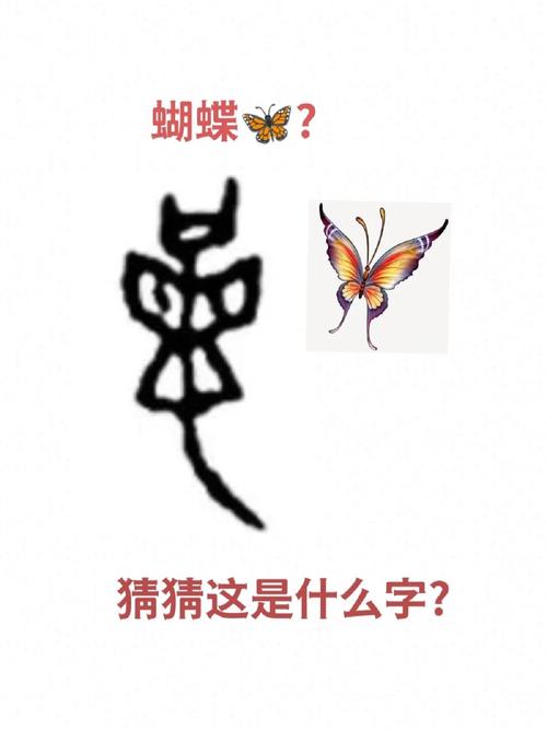 乌苏辙的字有多少