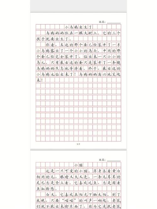 高考语文作文格子每行多少