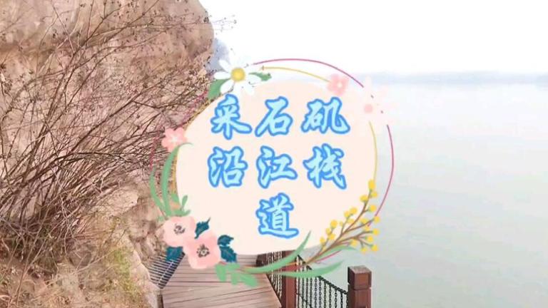 刘禹锡九华山歌多少字