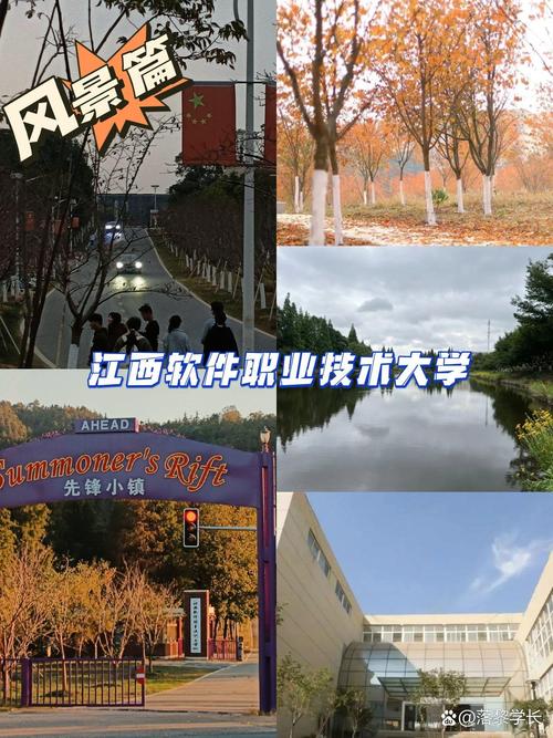 江西软件大学多少亩