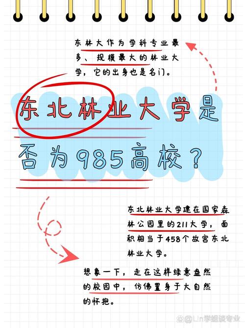 东北林业大学是哪个社区