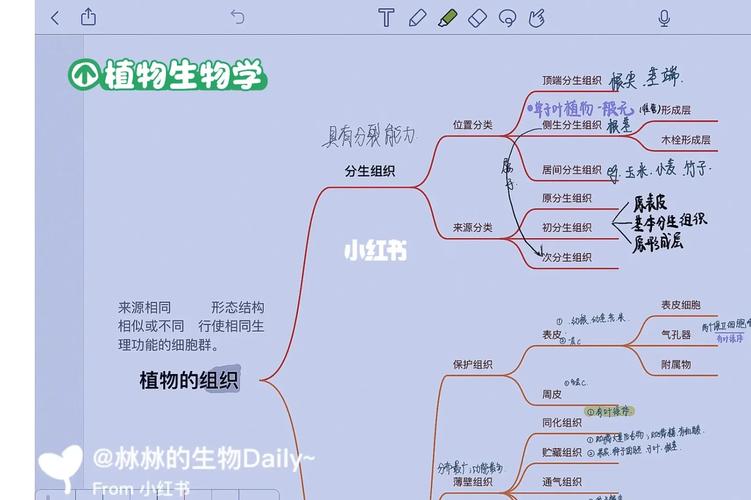 动物学和植物学哪个就业广